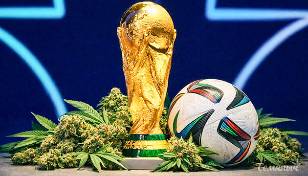Документальный проект High Times о каннабисе и футболе в Северной Америке Фильм Kicking Back о влиянии каннабиса и спорта в городах ЧМ-2026