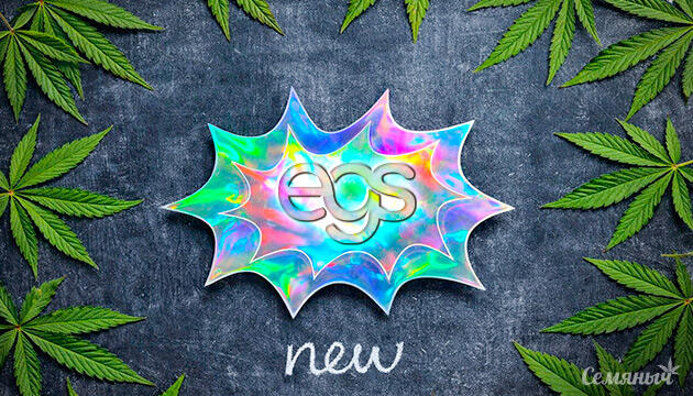 Новые сорта от Easy Grow Seeds