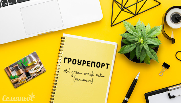 Гроурепорт сорта CBD Green Crack Auto